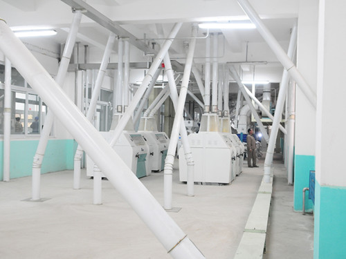 maize flour milling machine.jpg